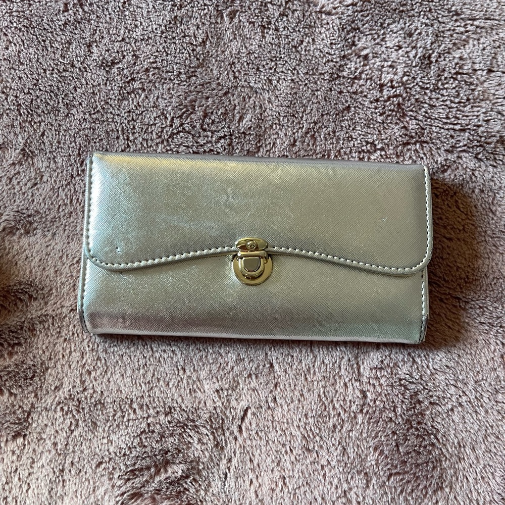 Elegant Silver Women's Clutch